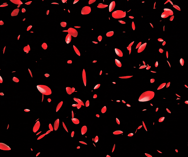 Profile Image of Canberra Adult Job Langtrees VIP Canberra